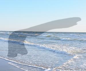 Langeoog-Unterkunftssuche