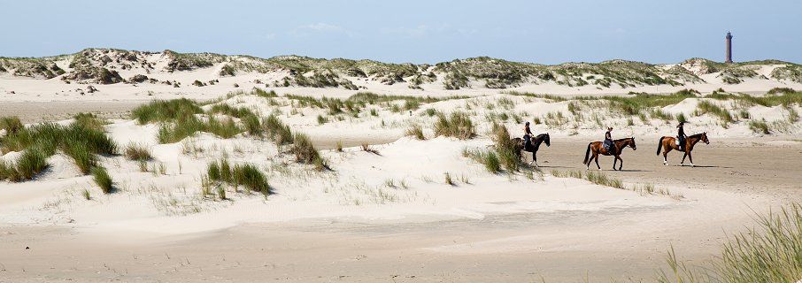 Norderney Dünen