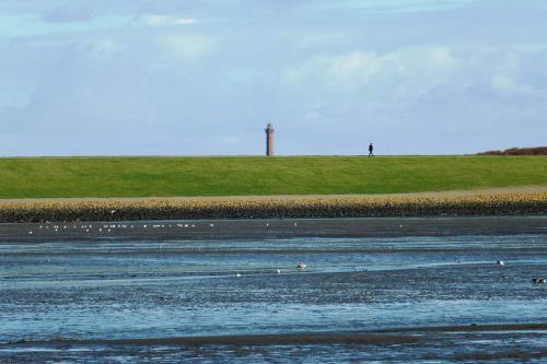 Norderney Ferienwohnung Ferienhaus Hol di toi