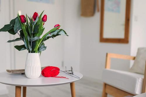 Norderney Ferienwohnungen Busch F*** u. F**** - De Lüttje - Ausstattung 3