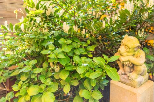 Norderney Ferienwohnung Achterdeck