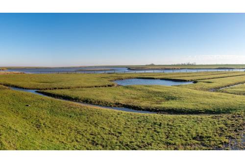 Ostfriesland Ferienwohnung Wolkenlos Neßmersiel