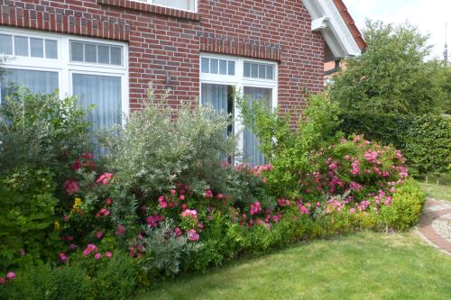 Spiekeroog Ferienwohnung Admiral - Hausgarten im Süden