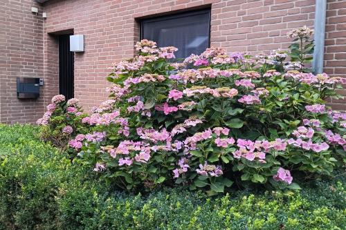 Spiekeroog Ferienwohnung An&#39;t Loog