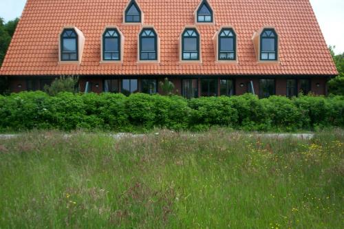 Spiekeroog Ferienhaus Austernfischer II 2a - Frontansicht