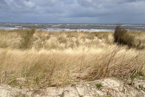 Spiekeroog Ferienhaus Austernfischer II 2a - Zugang zum Strand 