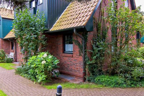Spiekeroog Ferienhaus Austernfischer I, Haus 4 - Austernfischer I, Haus 4 