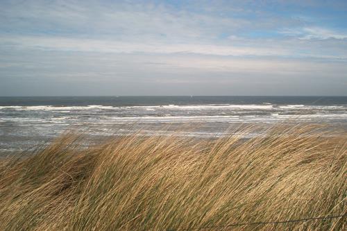 Spiekeroog Ferienwohnung Bernstein im Haus Friederike