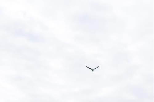 Spiekeroog Ferienhaus Drömhuus Ost & West - Ausstattung 24