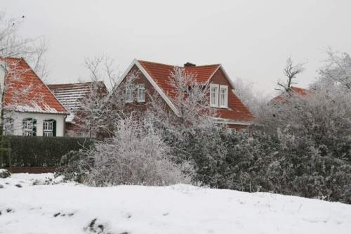 Spiekeroog Ferienwohnung Efeuhaus - Das Efeuhaus im Winter.