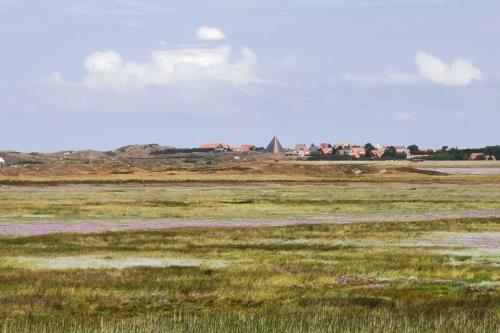 Spiekeroog Ferienwohnung Efeuhaus - Spiekeroog - Blick über die Salzwiesen