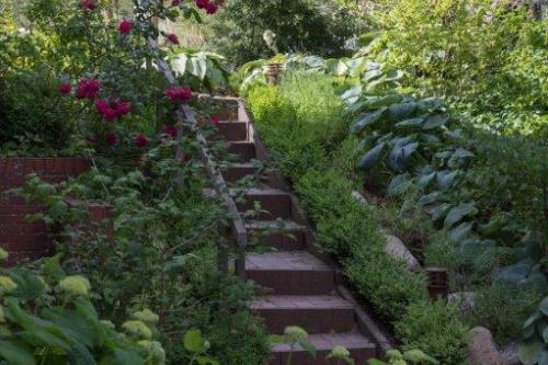 Spiekeroog Ferienwohnung Ferienhaus Pirola