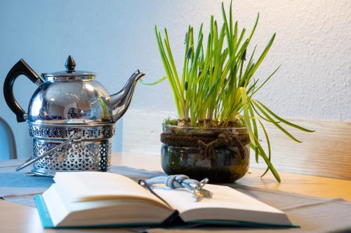 Spiekeroog Ferienwohnung Ferienhaus Antares - 8 - Ausstattung 4