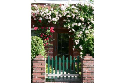 Spiekeroog Ferienwohnung Haus Fortuna