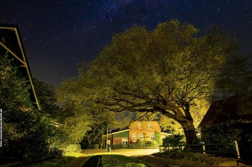 Spiekeroog Ferienhaus Haus Heidefeld