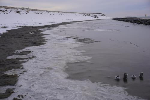 Spiekeroog Ferienwohnung Haus Krönchen Whg. 8 - Westend im Winter