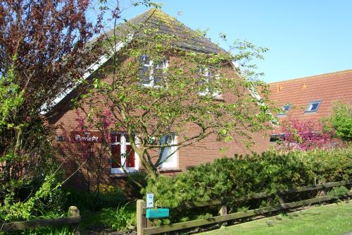 Spiekeroog Ferienwohnung Haus Meeräsche - Haus Meeräsche 