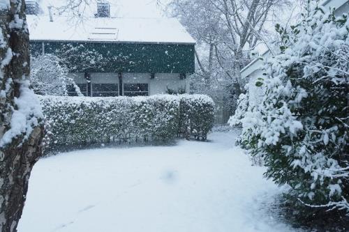 Spiekeroog Ferienhaus Haus Nordlicht - Winterzeit auf Spiekeroog