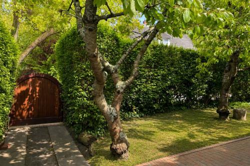 Spiekeroog Ferienwohnung Haus Roseneck - Kirschbaum - Ausstattung 10