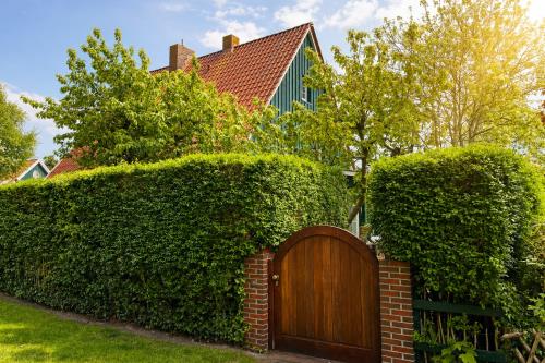 Spiekeroog Ferienwohnung Haus Roseneck - Kirschbaum - Ausstattung 9