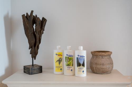 Spiekeroog Ferienwohnung Haus Seestern