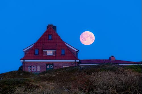 Spiekeroog Ferienwohnung Hotel Zur alten Inselkirche  "FeWo´s"