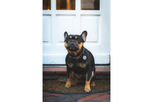 Spiekeroog Ferienwohnung Hotel Zur alten Inselkirche  "FeWo´s"