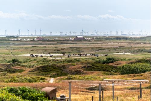 Spiekeroog Hotel-garni Hotel Zur alten Inselkirche