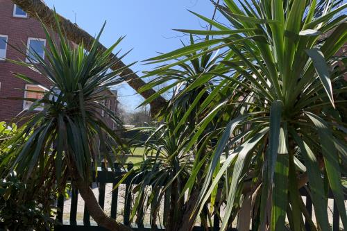 Spiekeroog Ferienwohnung Huus Eiland
