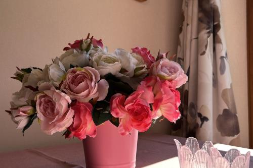 Spiekeroog Ferienwohnung Huus Eiland - Blumen - Ausstattung 4