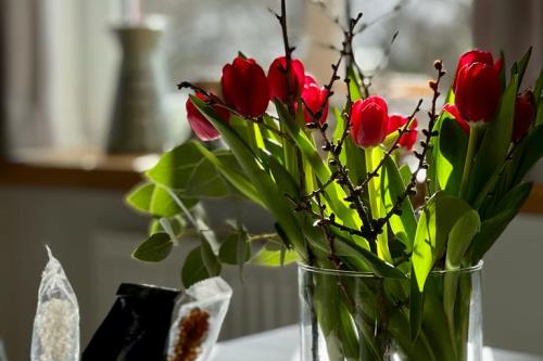 Spiekeroog Ferienwohnung Huus Janne 