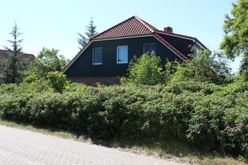 Spiekeroog Ferienwohnung Huus Lütje-Oog