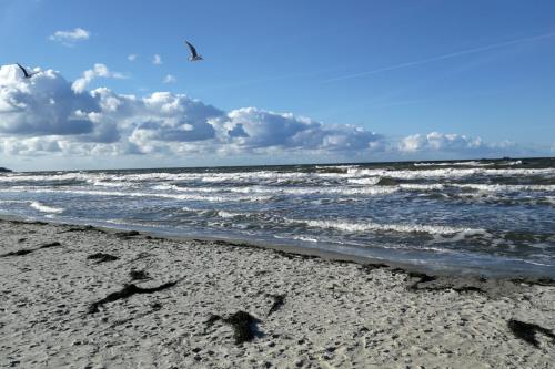 Spiekeroog Ferienwohnung Huus Wattkieker, Whg. 5 - 1 - Ausstattung 3