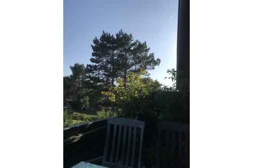 Spiekeroog Ferienwohnung Huus Wattkieker, Whg. 5