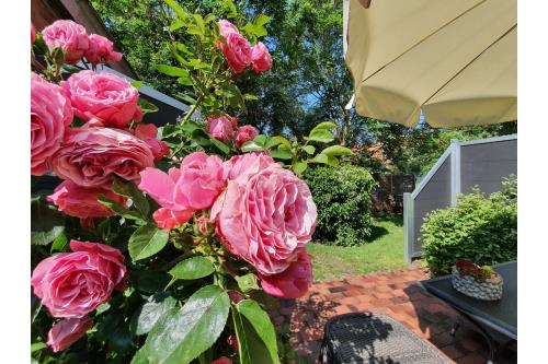 Spiekeroog Ferienwohnung Huus Wellhorn mit Atelier Mondstein - Ruhe-Oase im Rosengarten