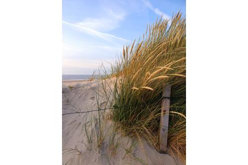 Spiekeroog Ferienwohnung Huus Wellhorn mit Atelier Mondstein - Strandidyll mit 9km weißen Strand