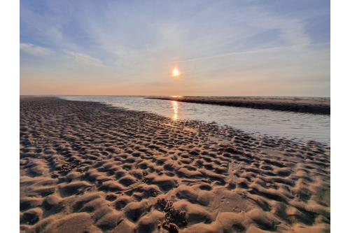 Spiekeroog Ferienwohnung Huus Wellhorn mit Atelier Mondstein - Watteindruck mit Sonnenuntergang