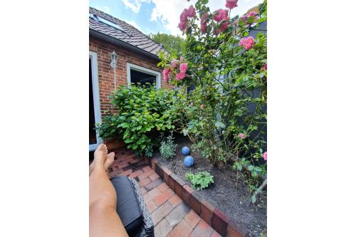 Spiekeroog Ferienwohnung Huus Wellhorn mit Atelier Mondstein - Terrasse für die Erholung! 