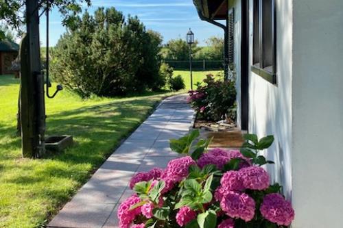 Spiekeroog Ferienwohnung Inselresidenz