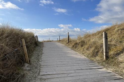 Spiekeroog Ferienwohnung Kamphuus, Whg. 3 - 1 - Düne