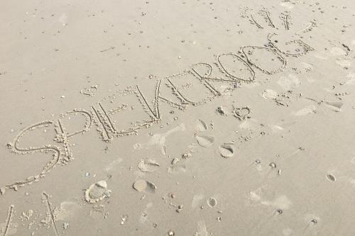 Spiekeroog Ferienwohnung Kamphuus, Whg. 3 - 1 - Sand, Sand, Sand...