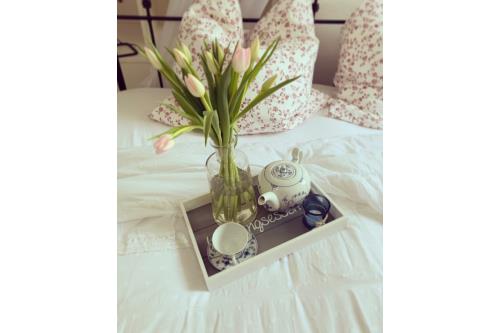 Spiekeroog Ferienwohnung Kleines Emma