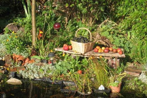 Spiekeroog Ferienwohnung Lütt Paradies - Reiche Gartenernte
