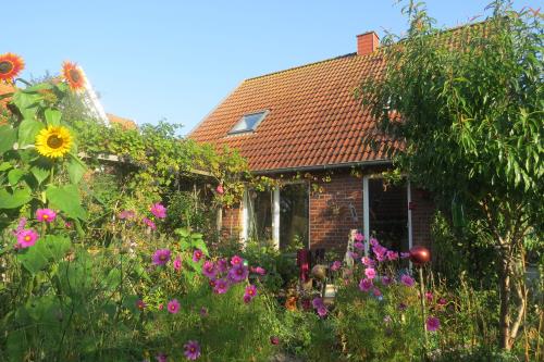 Spiekeroog Ferienwohnung Lütt Paradies - vom Gartem mit Sommerblumen