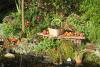 Spiekeroog Ferienwohnung Lütt Paradies - Reiche Gartenernte