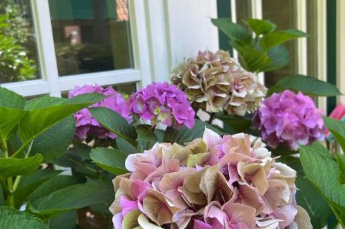 Spiekeroog Ferienwohnung Meerlust