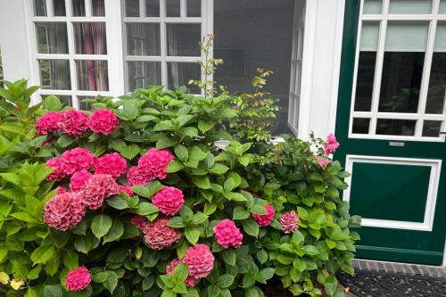 Spiekeroog Ferienwohnung Meerlust