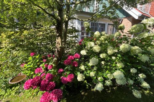 Spiekeroog Ferienwohnung Meerlust