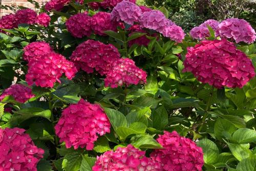 Spiekeroog Ferienwohnung Meerlust