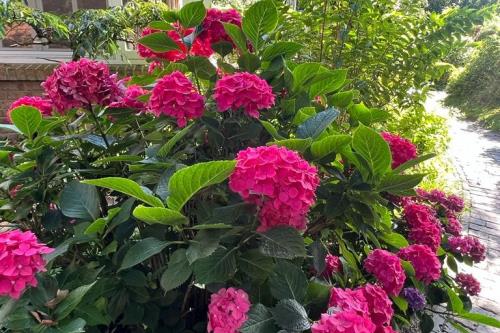 Spiekeroog Ferienwohnung Meerlust